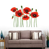 Poppy Flowers