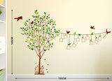 Family Tree Living Room Decal with Blank Photo Frames Hanging on String and Birds