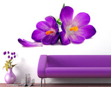 Flowers Beautiful Spring Crocus Lily Fresh Design for Home Decor Living Room