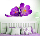 Flowers Beautiful Spring Crocus Lily Fresh Design for Home Decor Living Room